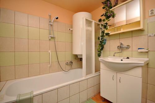 Holiday Home In Borovnicka 1260