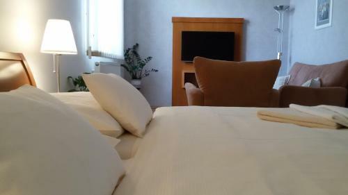 Hostal Pension U Labe