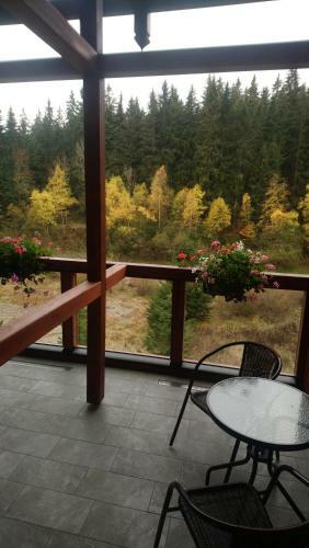 Hostal Penzion Jezirko