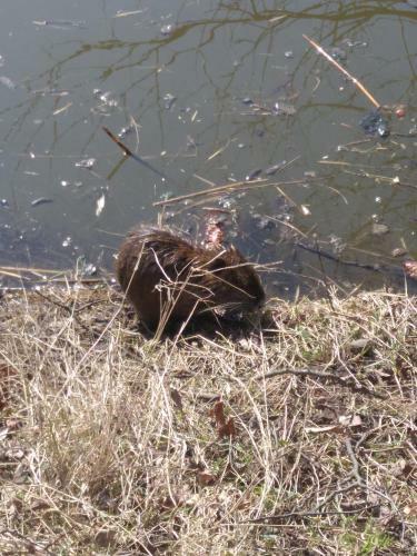 Agroturismo Chalupa Na Vsi