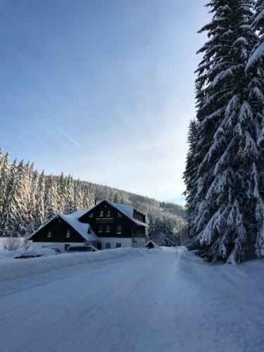 Hostal Penzion Pansk� D?m