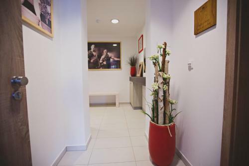 Hostal Statek ?esk� L�pa Myslovice