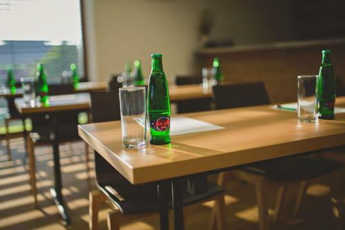 Hostal Statek ?esk� L�pa Myslovice