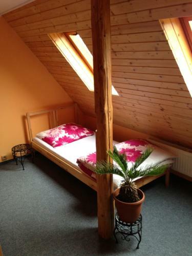 Hostal Pension U Dubu Jind?ichovice