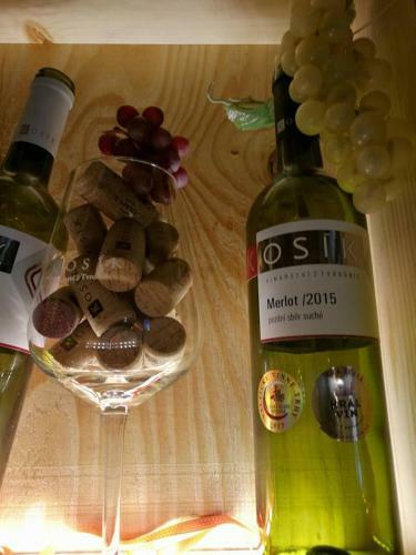 Hostal Penzion Kos�k Tvrdonice