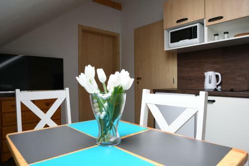 Apartm�ny V�zmberk