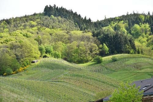 Apartamento Ferienwohnung Liebich