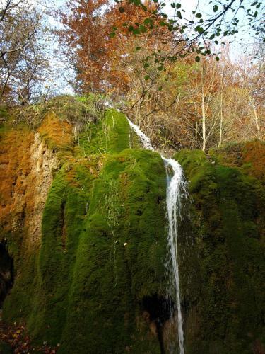 Bed & Breakfast Bnb Eifelpension Br�ckenschenke