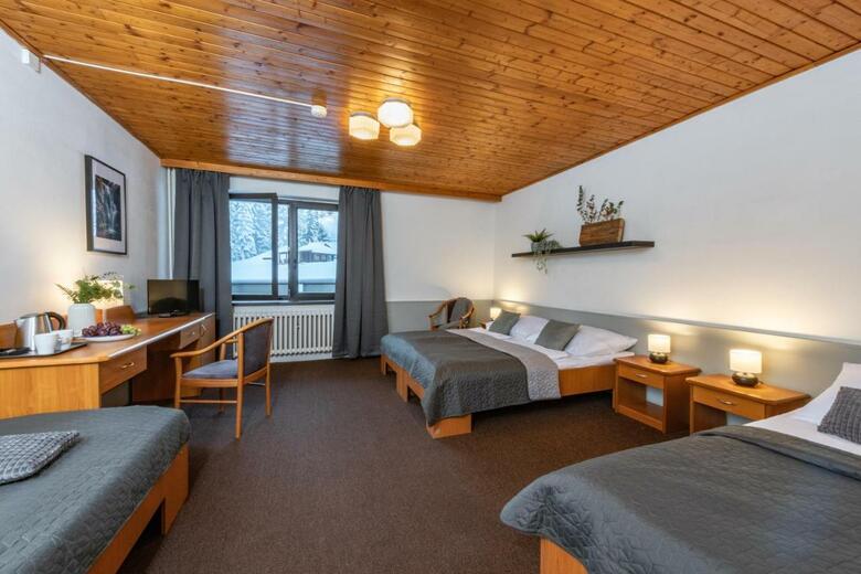 Hotel Sedy Vlk