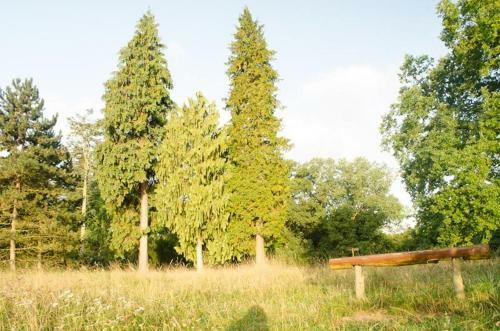 Ferienwohnungen Kuchelmi� See 6922