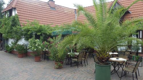 Hotel Waldhaus Knittelsheimer
