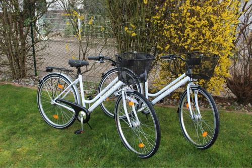 Apartamento Ferienwohnung Schwalbennest