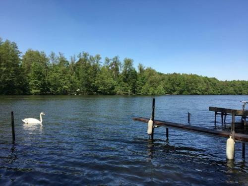 Apartamento Fewo Am See / Blockh�tte Mit Wasserzugang