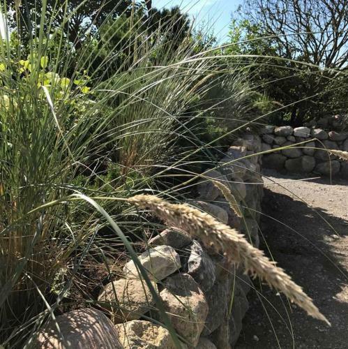 Apartamento Ferienwohnungen Bluetenzauber