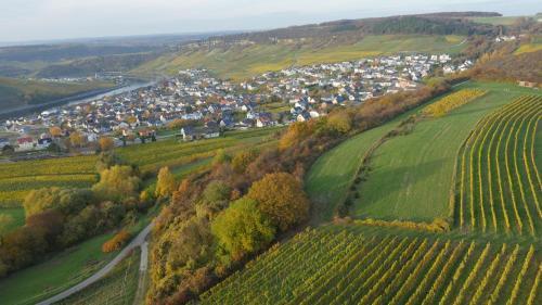 Posada Weingut Und G�stehaus Apel