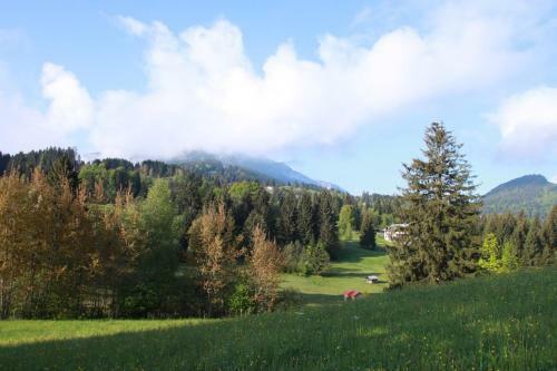 Apartamento Ferienwohnungen Haus S�llereck