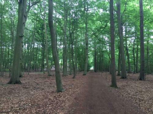 Apartamento Ferienwohnungen Rheine Markt 12