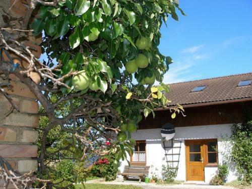 Apartamento Gschwingerhof