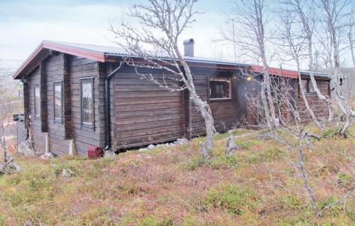 Holiday Home �rv�gen Vemdalen