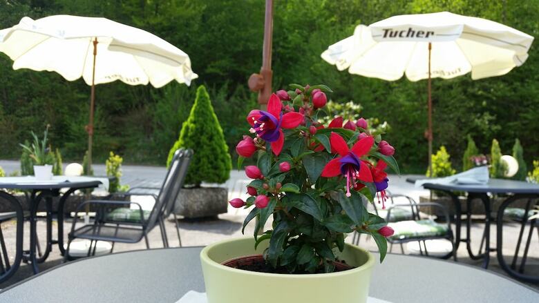 Hostal Hotel-pension Haus Hubertus