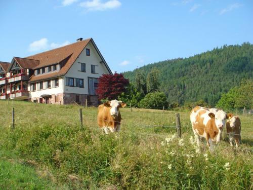 Apartment Freyenh�fe.1
