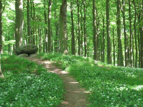 Lystskov Camping & Cottages