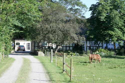 R�dk�rg�rd Bed&breakfast