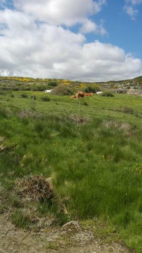 Agroturismo Casa Rural Los Riscos De Gredos