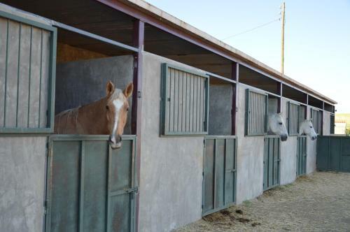 Hostal Rural Reillo