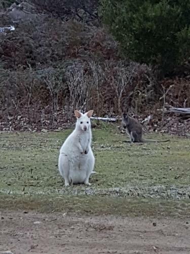 Discover Bruny Island Holiday Accommodation