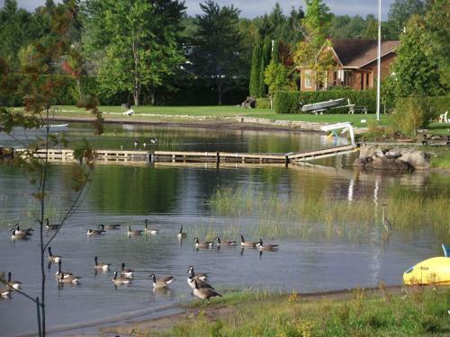 Bed & Breakfast Gite Des Chalets
