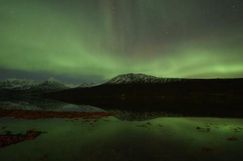 Lyngen Havfiske Og Tursenter