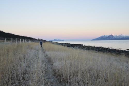 Lyngen Havfiske Og Tursenter