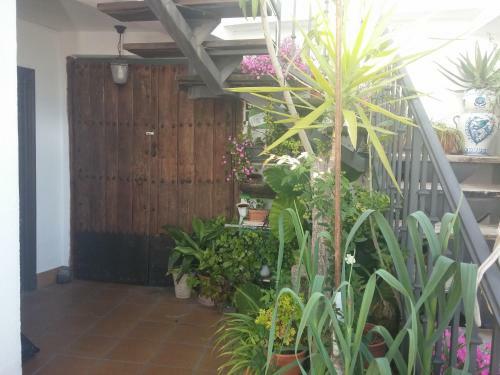 Hostal Balc�n Del Velillos-"rinc�n De Marcelo"