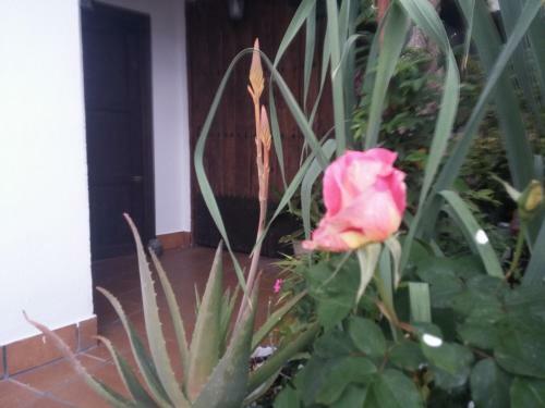 Hostal Balc�n Del Velillos-"rinc�n De Marcelo"