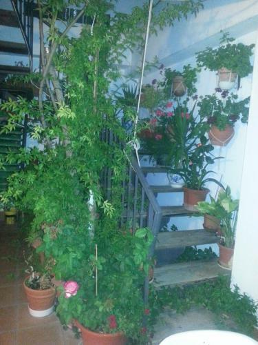 Hostal Balc�n Del Velillos-"rinc�n De Marcelo"