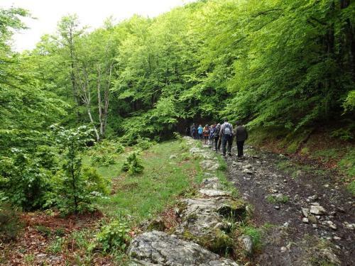 Bed & Breakfast Casa Rural Eikolara Landetxea