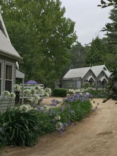 Hostal Foxglove Gardens