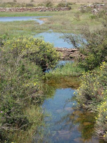 Agroturismo Mellby �r Inn