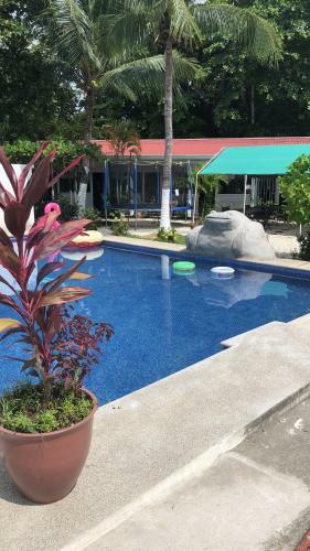 Hotel Luna De Mata De Lim�n