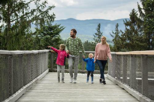 Apartm�n Lipno 50/18