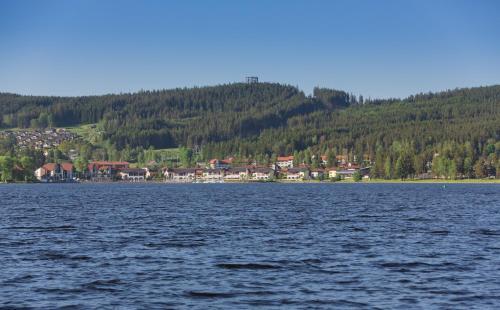 Apartm�n Lipno 50/18