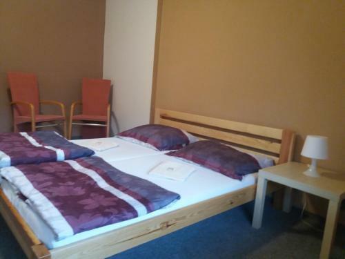 Hostal Penzion Na P?ehrad?