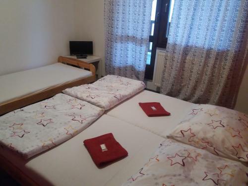 Hostal Penzion Na P?ehrad?