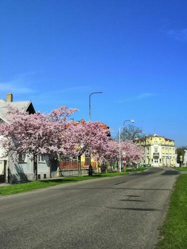 Hotel Modr� Hv?zda Sadsk�