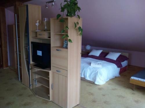 Apartamento Penzion Lida