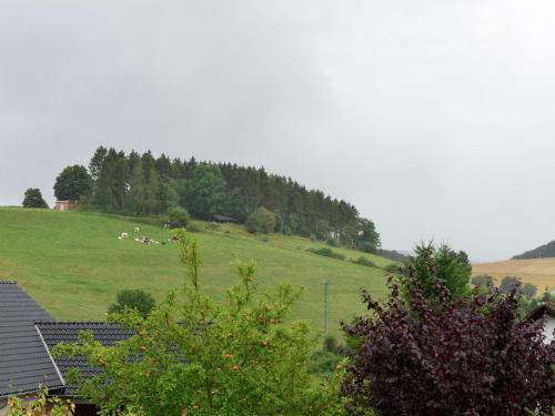 Cozy Apartment In Heringhausen With Private Terrace