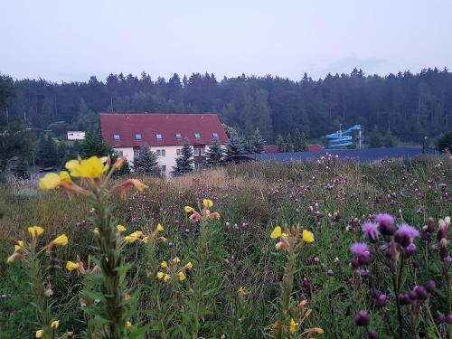 Landhotel "sumpfm�hle" Am Tharander Wald