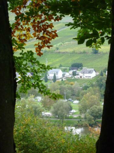 Hostal Ferienweingut-liebfried