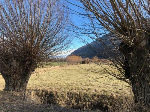 B&B Thurelle Bertschen
